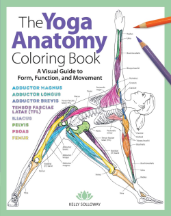 Yoga anatomy coloring book